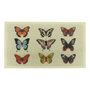 Butterfly Indoor Outdoor Doormat (70 x 40cm)