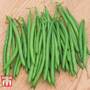 Dwarf Bean 'Caledonia' - Seeds