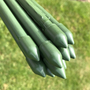 Plant Stake & Tomato Support Garden Canes - 1.2m / 47 Long
