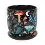 Indoor Ceramic Plant Pot and Saucer