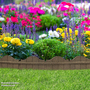 Ultra Curve EZ Border Edging Large Carolina