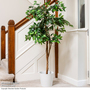 Artificial Large Ficus Tree