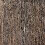 Brushwood Thatch Screen Roll