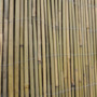 Bamboo Cane Screen Roll