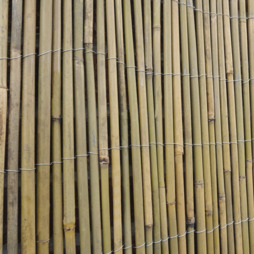 Bamboo Cane Screen Roll