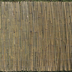 Bamboo Cane Screen Roll - 1.5X4M