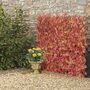 Expandable Artificial Red Acer Hedge Trellis