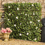 Garden Gear - White Flower Folding Hedge Trellis