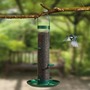 Supa - 6 Port Niger Feeder with Tray
