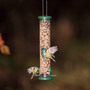 Jacobi Jayne Ring Pull Seed Medium Feeder