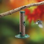 Supa - 4 Port Mealworm Feeder with Tray