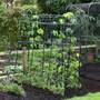 Garden Gear Pea & Bean Tunnel