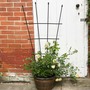 Garden Gear 1.2-Metre Fan Trellis