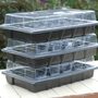 Garden Gear - Plug and Seed Growing Tray