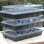 Garden Grow Plug and Seed Growing Tray