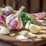 Garlic 'Picardy Wight' (Spring Planting)