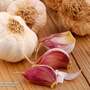 Garlic 'Morado' (Autumn Planting)