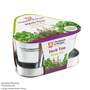 Thompson & Morgan - Herb Trio Seed Growing Kit - Gift