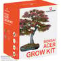 Thompson & Morgan - Bonsai Acer Seed Growing Kit - Gift