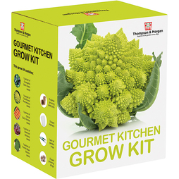 Gourmet Kitchen Seed Growing Kit - Gift