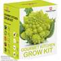 Thompson & Morgan - Gourmet Kitchen Seed Growing Kit - Gift