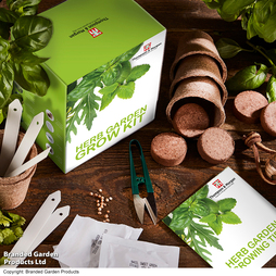 Herb Garden Seed Growing Kit - Gift