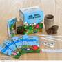Mr Men Vegetable Seed Growing Kit - Gift