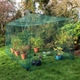 GardenSkill Fruit & Vegetable Cage Garden | Butterfly Net Plant Protection Frame Raised Bed Flower Grow House