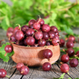 Gooseberry 'Giggles Red'
