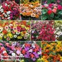 Garden Ready Bumper Collection