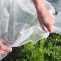 Frost Buster Plant & Crop Fleece Sheet