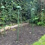 GardenSkill Extendable Plant Stake & Connector Kit - Flower Supports & Canopy Domes for Greenhouse Climbing Crop Net Cover