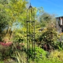 Garden Obelisk for Climbing Plants | Metal Support Trellis Frame & Rose Tower for Flowers Pot Shrubs & Patio