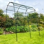 Garden Grow Tunnel Trellis Support for Climbing Plants 180x230cm - Rose Flower Arch - Fruit Cage Frame for Runner Beans Tomatoes Melon Vine