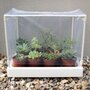 GardenSkill Seedling Tray & Mini Greenhouse Combi Kit - Vertical Planter Seed Starter & Herb Grower with Humidity Dome