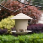 Hanging Bird Feeder for Small Birds | Eco Friendly Garden Seed Feeding Station for Robin Finch Sparrow Blue Tit Wild Bird