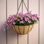 Classic Round Hanging Basket - Natural Coco Liner