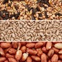 Happy Beaks - All Seasons Bundle