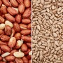 Happy Beaks - Peanut & Sunflower Combo Bundle