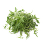 Rocket Eruca sativa - Kew Seeds