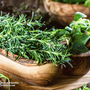 Rosemary - Seeds