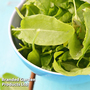 Sorrel 'Volare' - Seeds