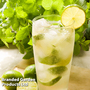 Herb 'Cool Mint'