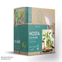 Hosta BotaniQua 'Iced Green' Hydroponic Kit - Gift