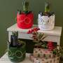 Hyacinth in Reindeer Radiance Ceramic - Gift