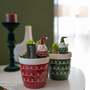 Hyacinth in Chubby Santa Ceramic - Gift