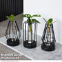 Hydroponic Collection in Turin Glass