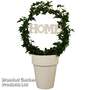 Hedera Home Hoop