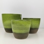 Semi Glazed Flora Green Planter