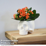 Halloween Kalanchoe in Skull Pot
